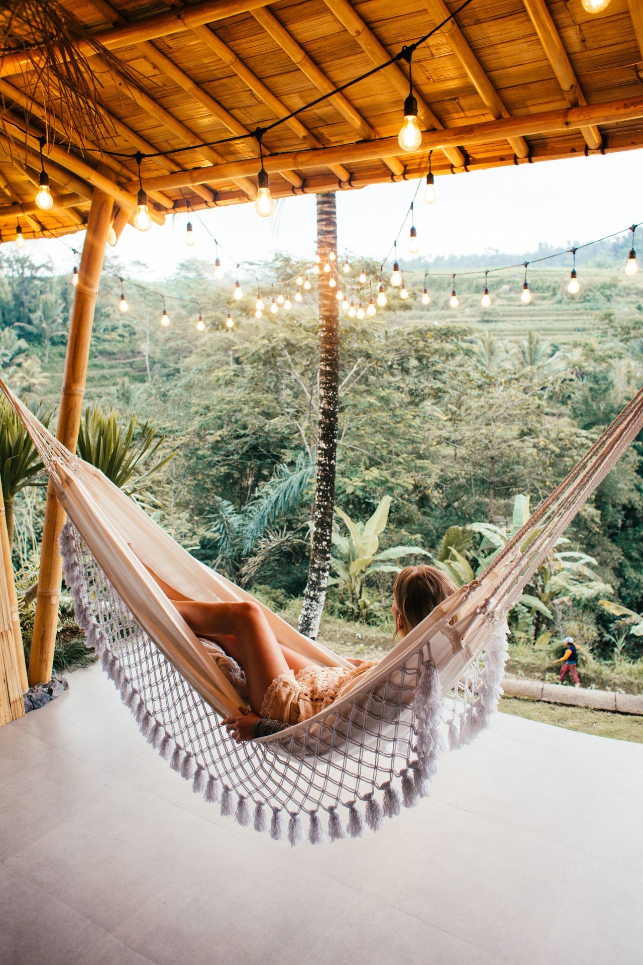 A hammock overlooking a jungle valley, representing Houfy’s newsletter content